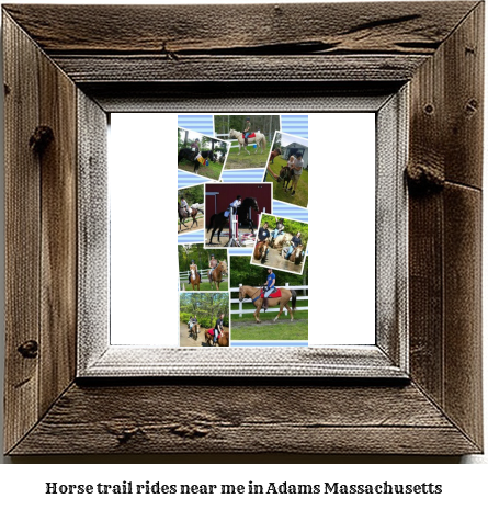 horse trail rides near me in Adams, Massachusetts